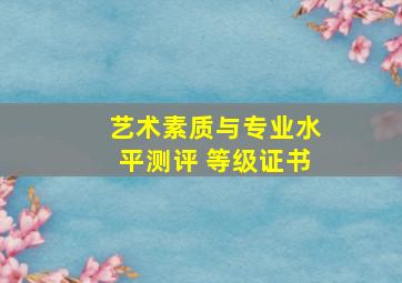 艺术素质与专业水平测评 等级证书